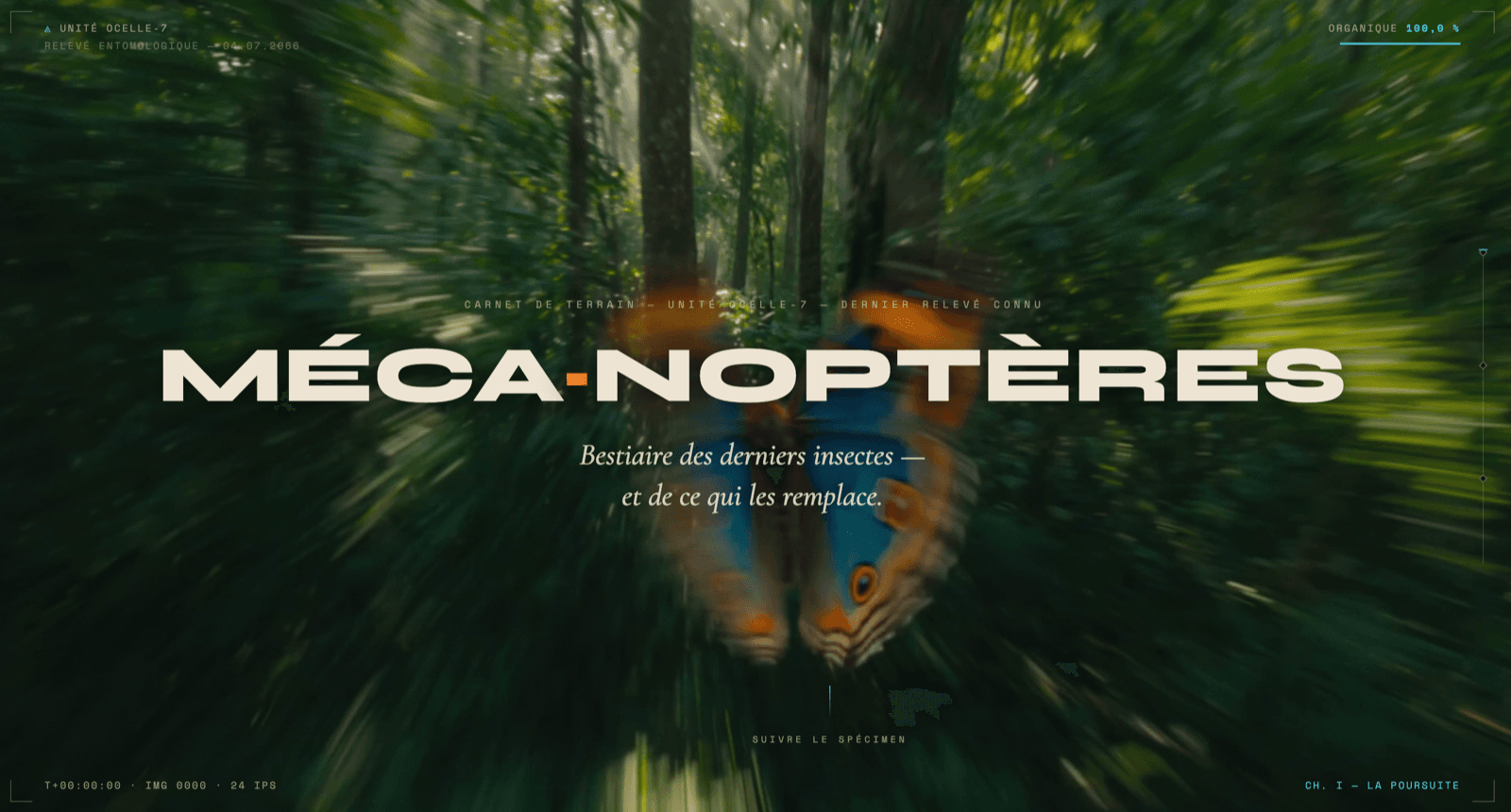 Mécanoptères